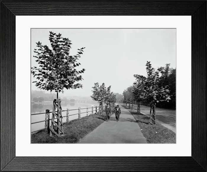 Framed Print : River Drive, Fairmount Park, Philadelphia, between 1900 and 1906. Creator: Unknown Framed Print : River Drive, Fairmount Park, Philadelphia, between 1900 and 1906. Creator: Unknown