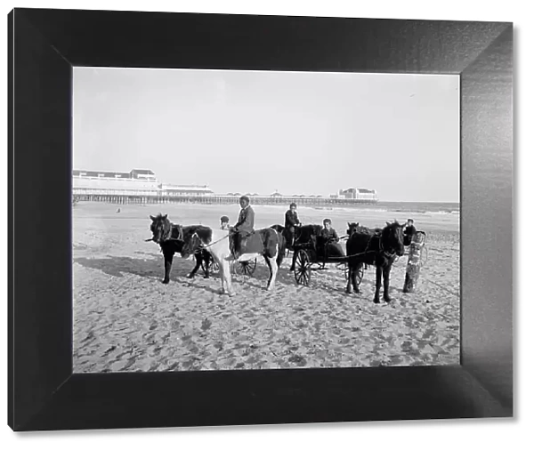 Ponies on the beach, Atlantic City, N.J. between 1900 and 1906. Creator: Unknown