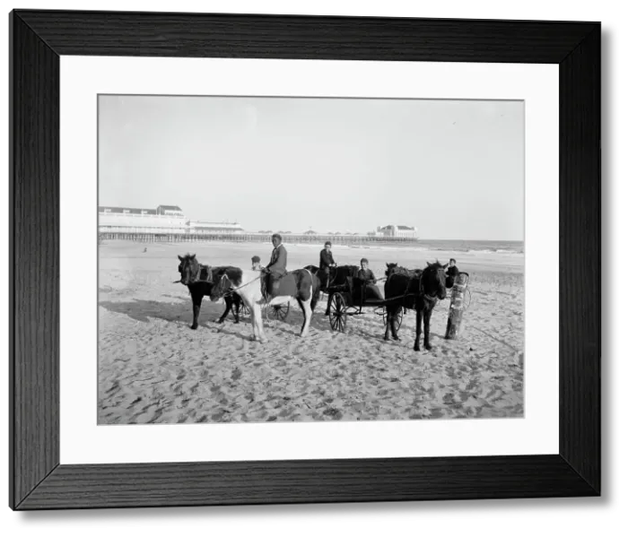 Framed Print : Ponies on the beach, Atlantic City, N.J. between 1900 and 1906. Creator: Unknown Framed Print : Ponies on the beach, Atlantic City, N.J. between 1900 and 1906. Creator: Unknown