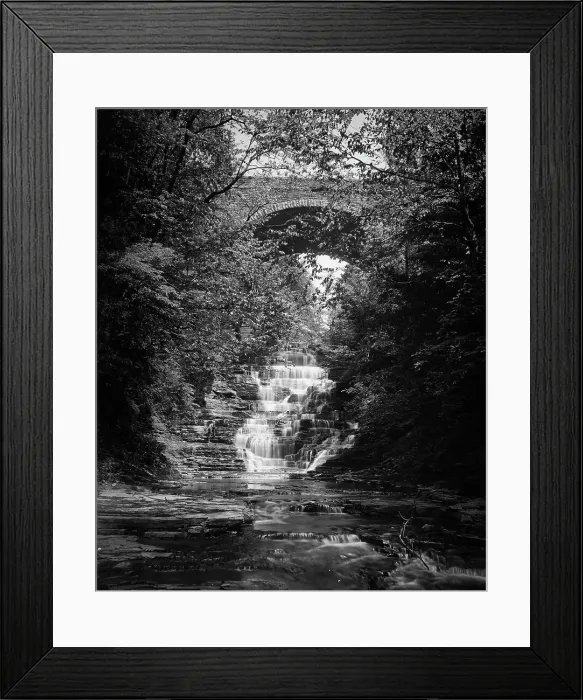 Framed Print : Cascadilla Gorge, Ithaca, N.Y. c1900. Creator: Unknown Framed Print : Cascadilla Gorge, Ithaca, N.Y. c1900. Creator: Unknown