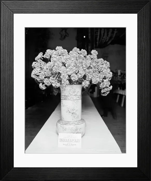 Framed Print : Indianapolis carnation, American Carnation Society Exhibition, Detroit, Mich. between 1900 and 1905 Creator: Unknown Framed Print : Indianapolis carnation, American Carnation Society Exhibition, Detroit, Mich. between 1900 and 1905 Creator: Unknown
