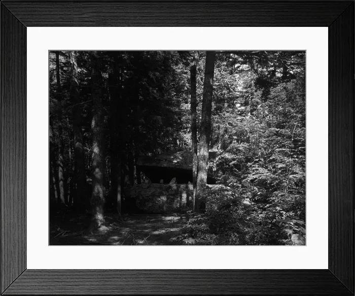 Framed Print : Alligator Head near South Lake, Catskill Mountains, N.Y. c1902. Creator: Unknown Framed Print : Alligator Head near South Lake, Catskill Mountains, N.Y. c1902. Creator: Unknown