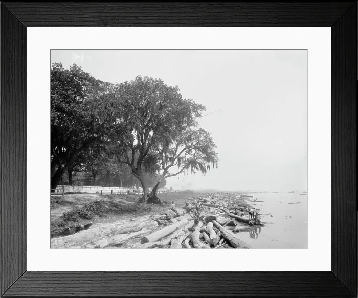 Framed Print : Shore at Frascati, Mobile, Ala. The, (ca 1900?). Creator: Unknown Framed Print : Shore at Frascati, Mobile, Ala. The, (ca 1900?). Creator: Unknown