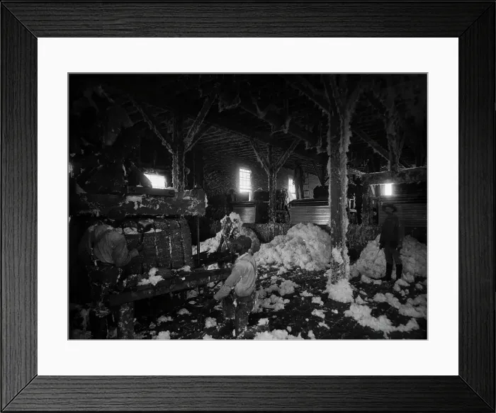 Framed Print : Cotton gin at Dahomey, between 1890 and 1906. Creator: Unknown Framed Print : Cotton gin at Dahomey, between 1890 and 1906. Creator: Unknown