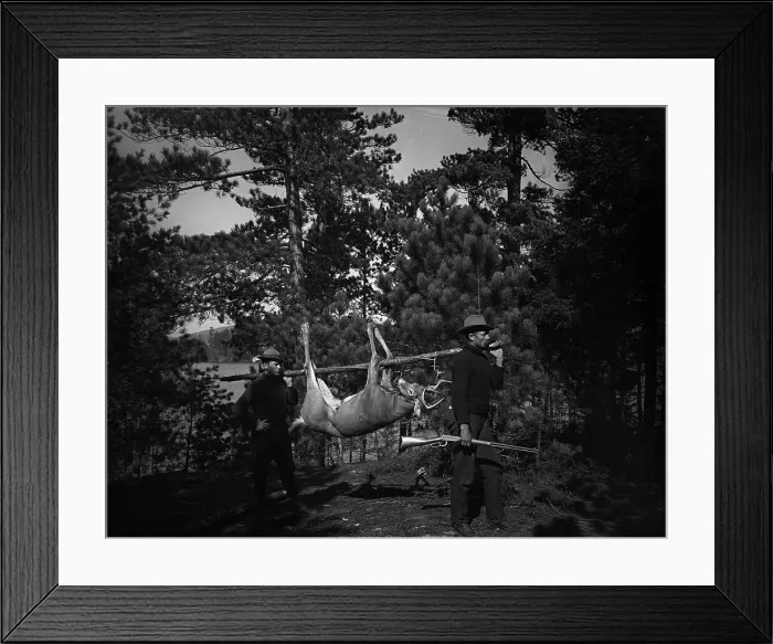 Framed Print : Hunting in the Adirondacks, c1903. Creator: Unknown Framed Print : Hunting in the Adirondacks, c1903. Creator: Unknown