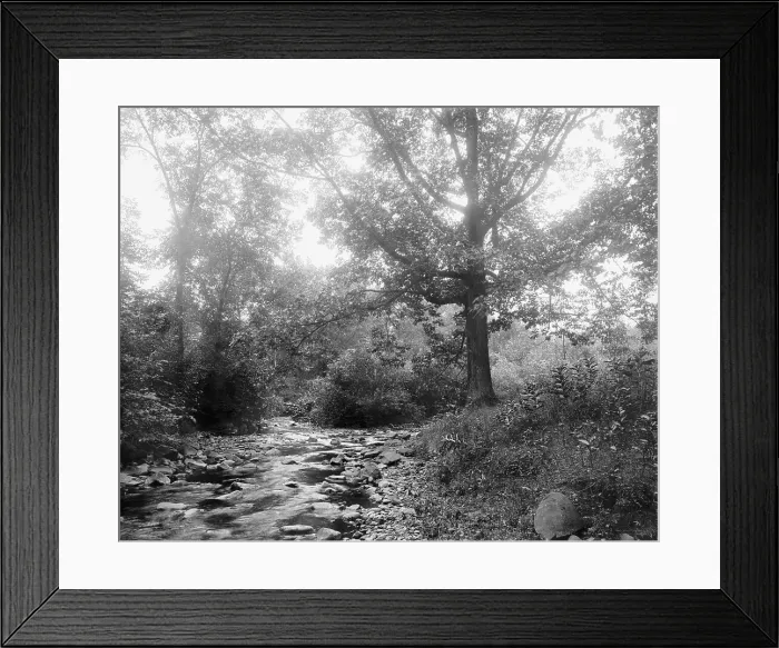Framed Print : West River at Westville, New Haven, between 1900 and 1906. Creator: Unknown Framed Print : West River at Westville, New Haven, between 1900 and 1906. Creator: Unknown