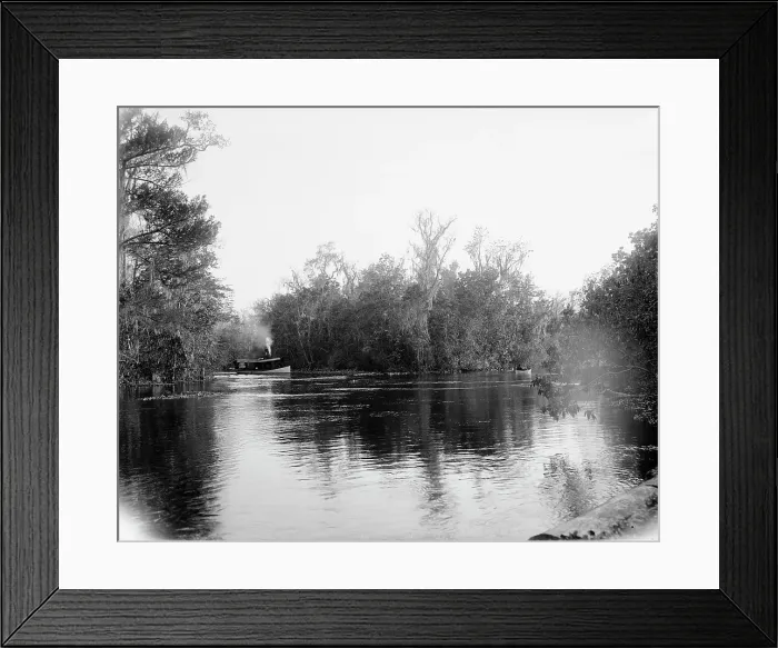 Framed Print : Junction of the Ocklawaha [sic] and Silver Springs rivers, Florida, 1902. Creator: Unknown