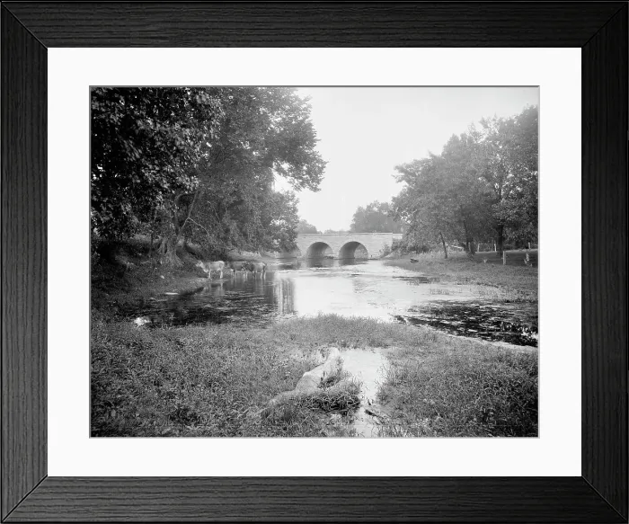 Framed Print : Robson's Bridge, Wilmington, Ill. between 1900 and 1906. Creator: Unknown Framed Print : Robson's Bridge, Wilmington, Ill. between 1900 and 1906. Creator: Unknown