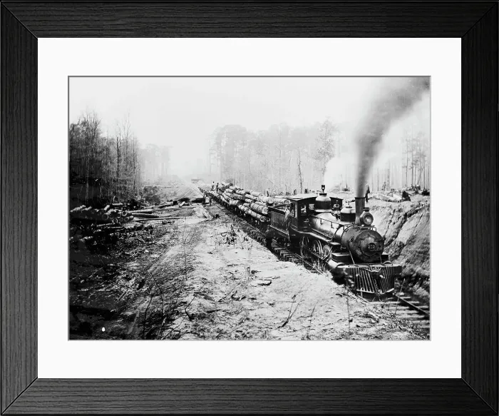 Framed Print : Logging railroad, Keystone Lumber Company, 1901 or 1902. Creator: Unknown Framed Print : Logging railroad, Keystone Lumber Company, 1901 or 1902. Creator: Unknown