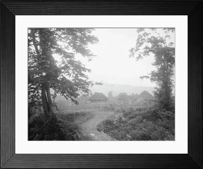 Framed Print : View of Ainu village beyond trees, 1908. Creator: Arnold Genthe Framed Print : View of Ainu village beyond trees, 1908. Creator: Arnold Genthe