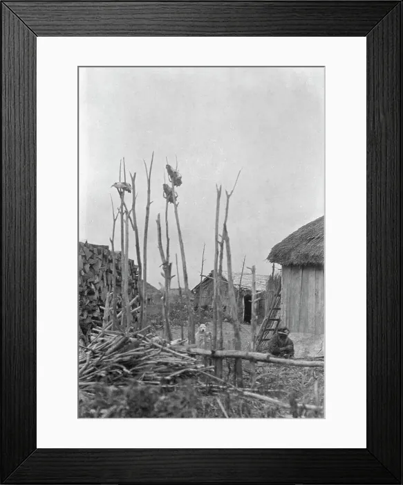 Framed Print : View of Ainu village with ceremonial poles, 1908. Creator: Arnold Genthe Framed Print : View of Ainu village with ceremonial poles, 1908. Creator: Arnold Genthe