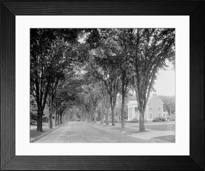 Framed Print : College Street (Sigma Phi), Burlington, Vt. c.between 1910 and 1920. Creator: Unknown Framed Print : College Street (Sigma Phi), Burlington, Vt. c.between 1910 and 1920. Creator: Unknown