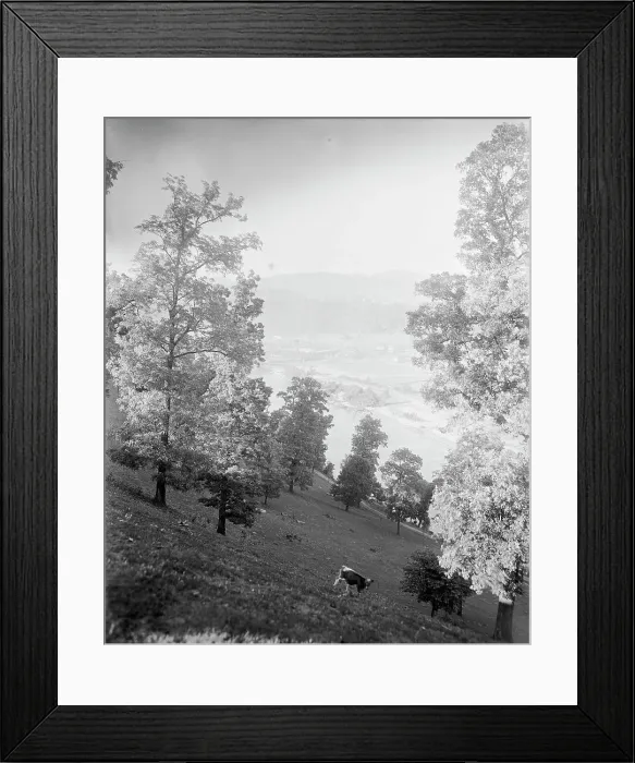 Framed Print : Asheville, N.C. between 1895 and 1910. Creator: Unknown Framed Print : Asheville, N.C. between 1895 and 1910. Creator: Unknown
