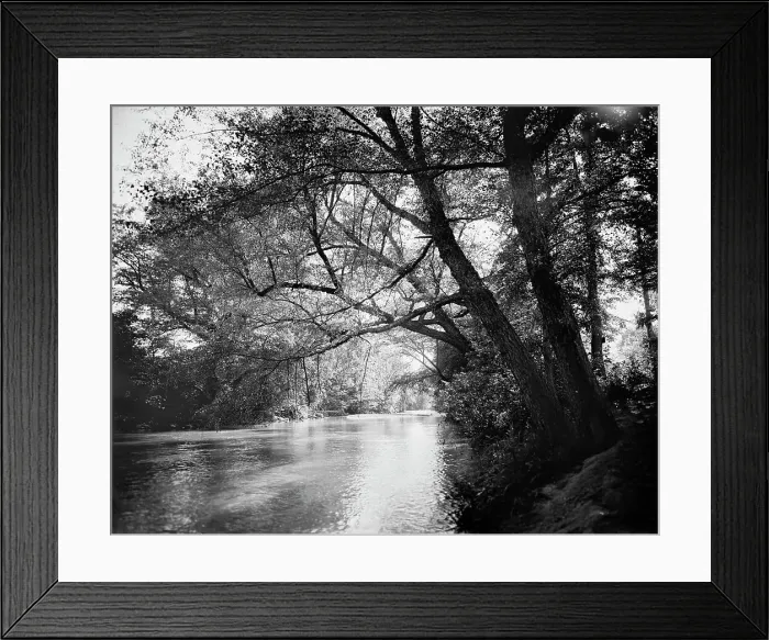 Framed Print : The Swannanoa near Kenilworth Inn, Asheville, N.C. between 1895 and 1910. Creator: Unknown Framed Print : The Swannanoa near Kenilworth Inn, Asheville, N.C. between 1895 and 1910. Creator: Unknown