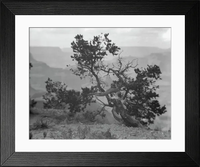 Framed Print : Grand Canyon, Arizona, between 1899 and 1928. Creator: Arnold Genthe Framed Print : Grand Canyon, Arizona, between 1899 and 1928. Creator: Arnold Genthe
