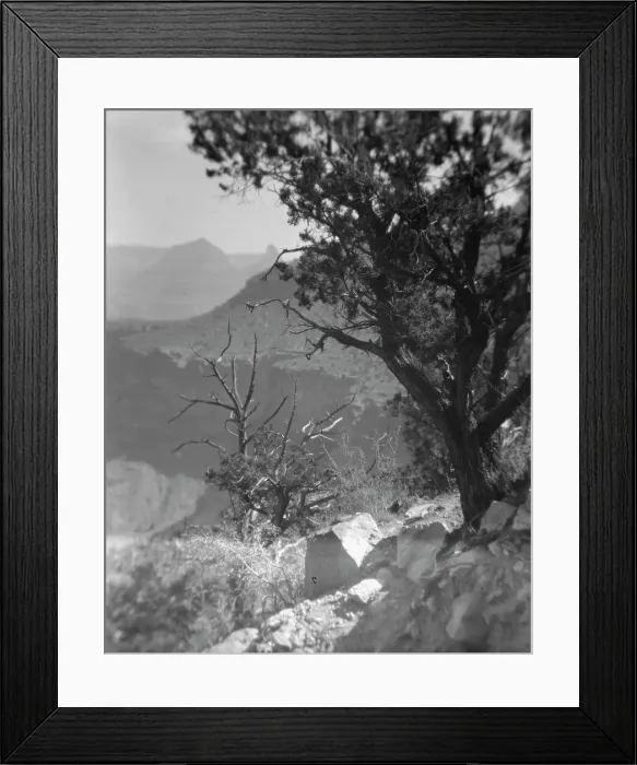 Framed Print : Grand Canyon, Arizona, between 1899 and 1928. Creator: Arnold Genthe
