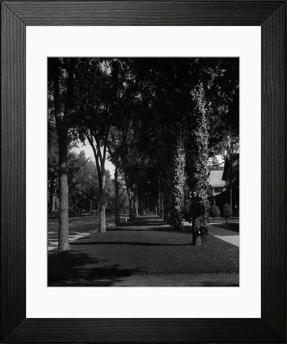 Framed Print : North Broadway, Saratoga, N.Y. c1904. Creator: Unknown Framed Print : North Broadway, Saratoga, N.Y. c1904. Creator: Unknown