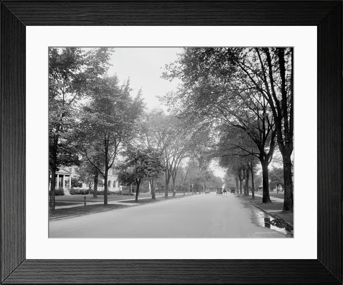 Framed Print : Delaware Avenue, Buffalo, N.Y. c.between 1910 and 1920. Creator: Unknown Framed Print : Delaware Avenue, Buffalo, N.Y. c.between 1910 and 1920. Creator: Unknown