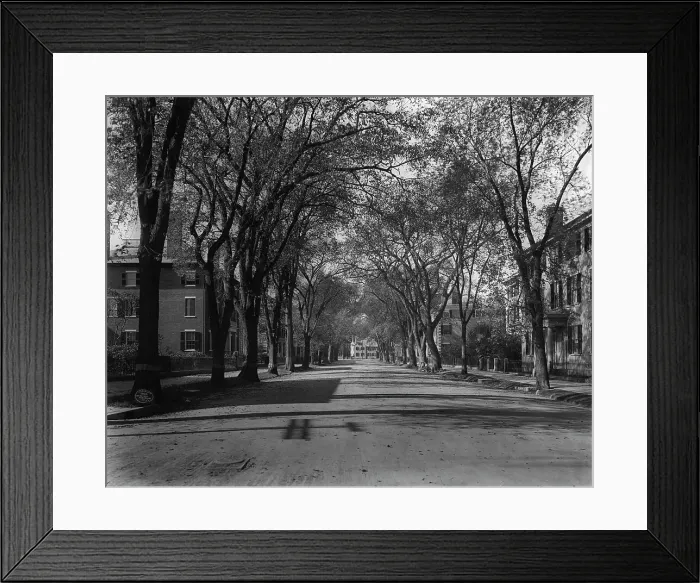 Framed Print : Chestnut St. Salem, Mass. c1906. Creator: Unknown Framed Print : Chestnut St. Salem, Mass. c1906. Creator: Unknown