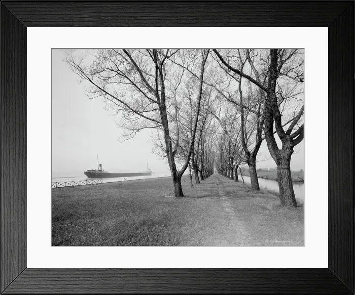 Framed Print : Willow Avenue, Star Island, Ste. Claire [sic] Flats, Mich. c.between 1910 and 1920. Creator: Unknown