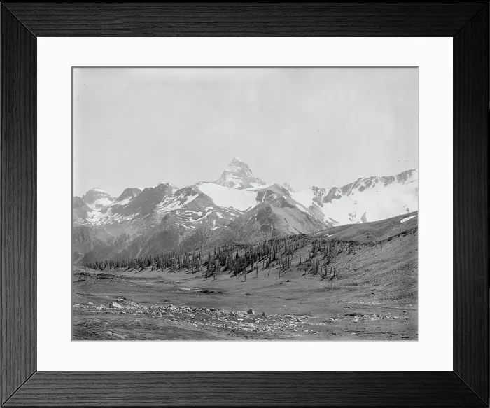Framed Print : Mt. Assiniboine, Alberta, Canada, between 1900 and 1910. Creator: Unknown Framed Print : Mt. Assiniboine, Alberta, Canada, between 1900 and 1910. Creator: Unknown