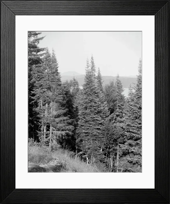 Framed Print : Blue Mountain from the crags, Adirondack Mts. N.Y. between 1900 and 1910. Creator: Unknown Framed Print : Blue Mountain from the crags, Adirondack Mts. N.Y. between 1900 and 1910. Creator: Unknown