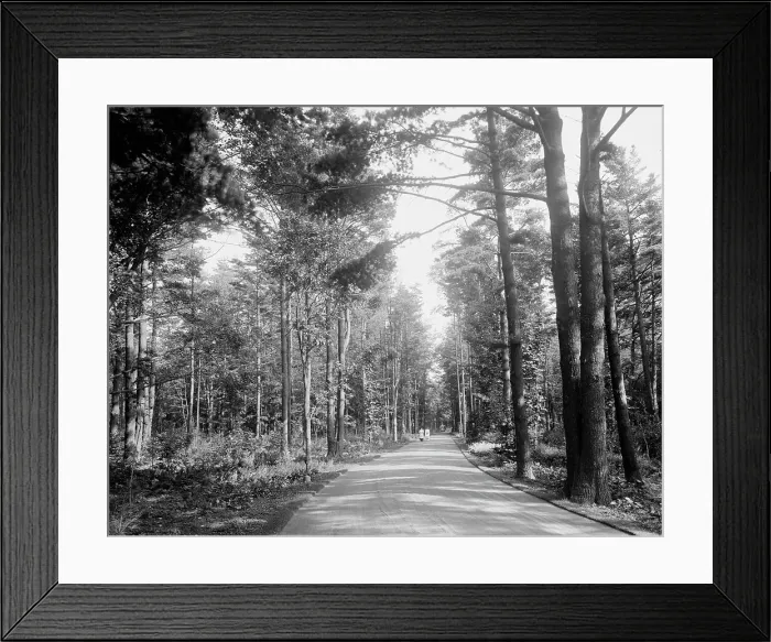 Framed Print : Carriage drive to High Lawn House, Lenox, Mass. c.between 1910 and 1920. Creator: Unknown Framed Print : Carriage drive to High Lawn House, Lenox, Mass. c.between 1910 and 1920. Creator: Unknown