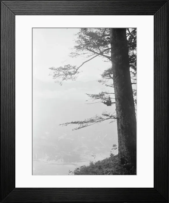 Framed Print : Travel views of Japan and Korea, 1908. Creator: Arnold Genthe Framed Print : Travel views of Japan and Korea, 1908. Creator: Arnold Genthe