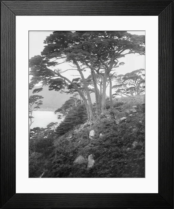 Framed Print : Travel views of Japan and Korea, 1908. Creator: Arnold Genthe Framed Print : Travel views of Japan and Korea, 1908. Creator: Arnold Genthe