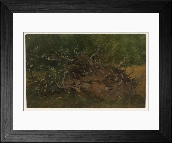 Framed Print : Study of a Tree Stump, 1843-1847. Creator: Wilhelm Peter Carl Petersen