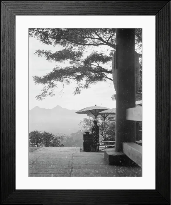 Framed Print : Travel views of Japan and Korea, 1908. Creator: Arnold Genthe Framed Print : Travel views of Japan and Korea, 1908. Creator: Arnold Genthe