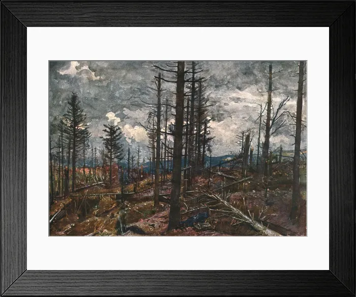 Framed Print : Le Bois mutile (cote 955, au-dessus de Metzeral), 1915. Creator: Unknown Framed Print : Le Bois mutile (cote 955, au-dessus de Metzeral), 1915. Creator: Unknown
