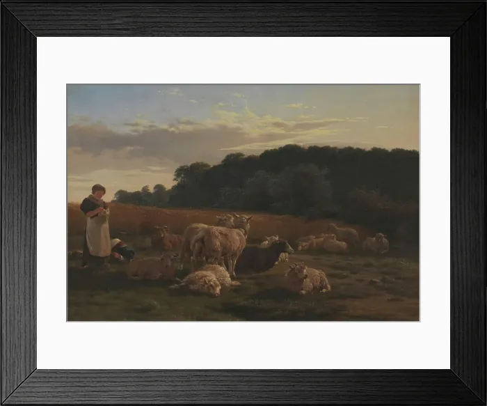 Framed Print : Flock of sheep, Faksinge Forest near Nysø, 1847-1848. Creator: Carlo Eduardo Dalgas Framed Print : Flock of sheep, Faksinge Forest near Nysø, 1847-1848. Creator: Carlo Eduardo Dalgas