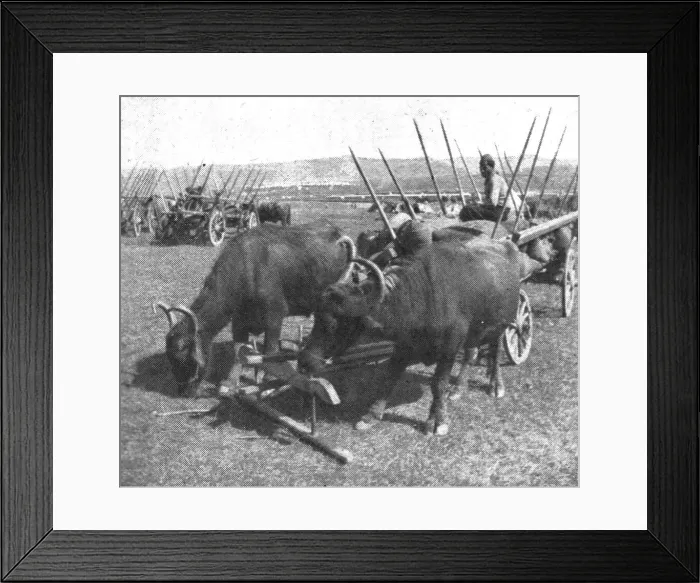 Framed Print : Les premiers contingents Franco-Anglais a Salonique; Les equipages de l'intendance, 1915 (1924). Creator: Unknown Framed Print : Les premiers contingents Franco-Anglais a Salonique; Les equipages de l'intendance, 1915 (1924). Creator: Unknown