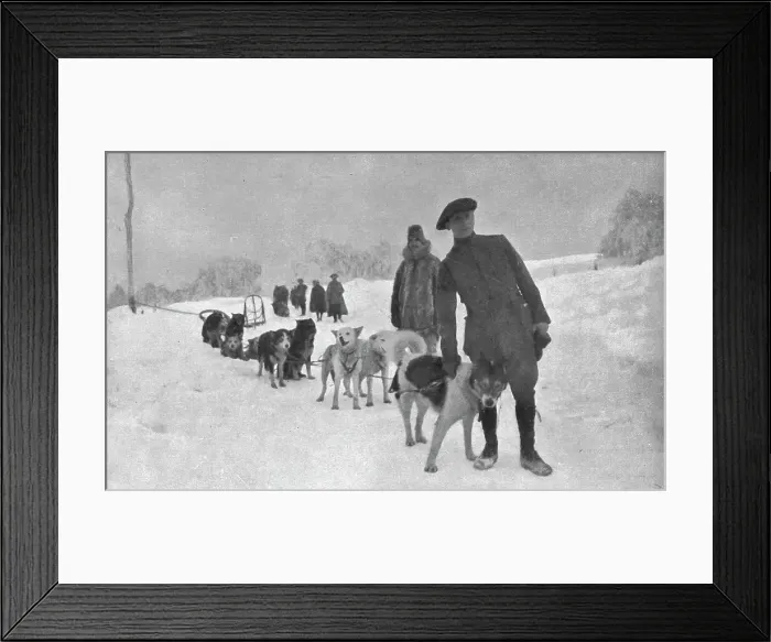 Framed Print : Sous la direction de notre consul en Alaska, que l'on voit ici la tete d'un attelage... 1915 (1924 Creator: Unknown) Framed Print : Sous la direction de notre consul en Alaska, que l'on voit ici la tete d'un attelage... 1915 (1924 Creator: Unknown)
