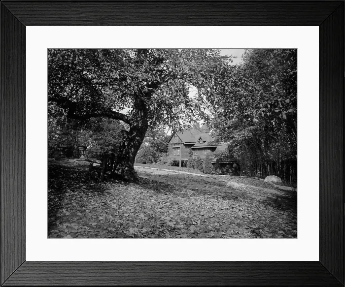 Framed Print : Lotta's Cottage, Hopateong (i.e. Hopatcong), N.J. between 1900 and 1906. Creator: Unknown Framed Print : Lotta's Cottage, Hopateong (i.e. Hopatcong), N.J. between 1900 and 1906. Creator: Unknown