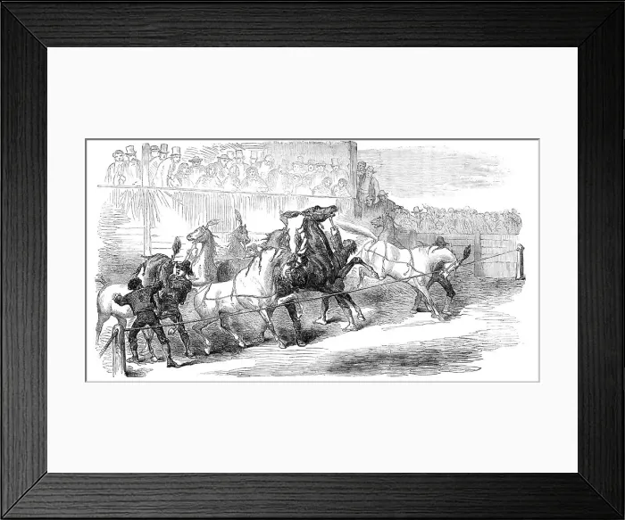Framed Print : Carnival Races at Rome, 1856. Creator: Unknown Framed Print : Carnival Races at Rome, 1856. Creator: Unknown