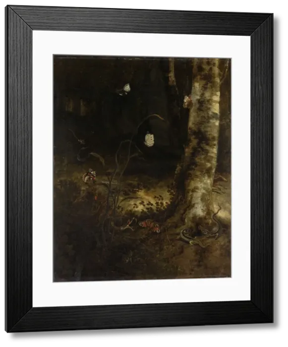 Framed Print : Forest Floor with a Snake, Lizards, Butterflies and other Insects, 1650-1678. Creator: Otto Marseus van Schrieck Framed Print : Forest Floor with a Snake, Lizards, Butterflies and other Insects, 1650-1678. Creator: Otto Marseus van Schrieck