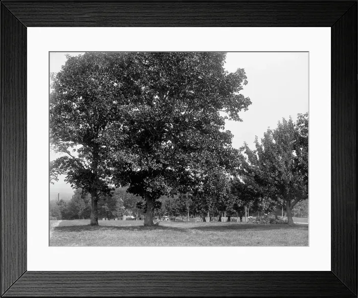 Framed Print : Toward the spring house, Poland Spring Hotel, South Poland, Maine, c1900. Creator: Unknown Framed Print : Toward the spring house, Poland Spring Hotel, South Poland, Maine, c1900. Creator: Unknown