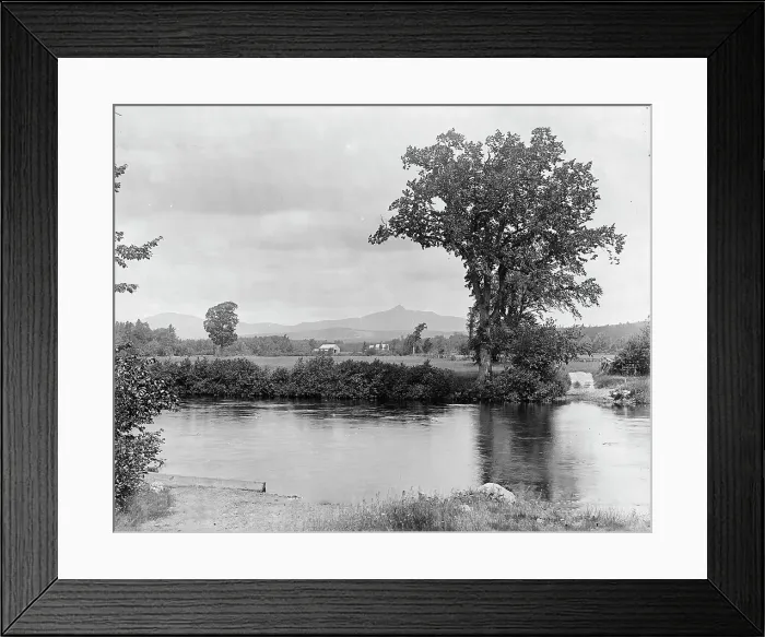 Framed Print : Bear Camp River and Chocorua Mountain, White Mountains, between 1900 and 1906. Creator: Unknown Framed Print : Bear Camp River and Chocorua Mountain, White Mountains, between 1900 and 1906. Creator: Unknown