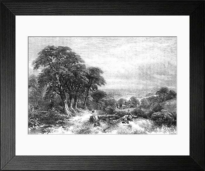 Framed Print : Timber-clearing on the Hill-side, Sussex - painted by Henry Jetsum - from the Exhibition of the Br Creator: M. Jackson. Timber-clearing on the Hill-side, Sussex - painted by Henry Jetsum - from the Exhibition of the Br Creator: M Framed Print : Timber-clearing on the Hill-side, Sussex - painted by Henry Jetsum - from the Exhibition of the Br Creator: M. Jackson. Timber-clearing on the Hill-side, Sussex - painted by Henry Jetsum - from the Exhibition of the Br Creator: M