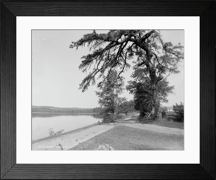 Framed Print : Budd's Lake, N.J. between 1900 and 1906. Creator: Unknown Framed Print : Budd's Lake, N.J. between 1900 and 1906. Creator: Unknown