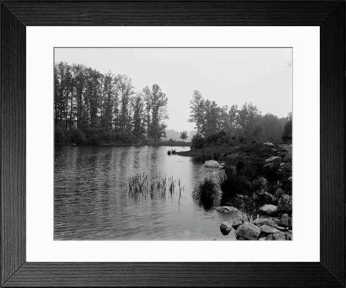 Framed Print : Howell's Lakes, N.J. upper lake, between 1900 and 1906. Creator: Unknown