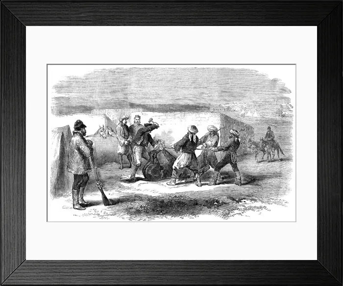 Framed Print : The Land Transport Camp before Sebastopol - Shoeing a Refractory Mule - sketched by J. A. Crowe, 185 Creator: Unknown Framed Print : The Land Transport Camp before Sebastopol - Shoeing a Refractory Mule - sketched by J. A. Crowe, 185 Creator: Unknown