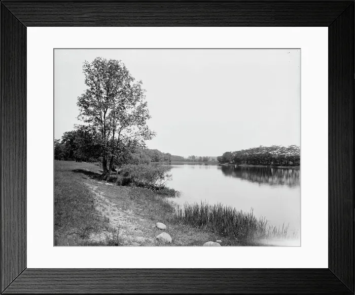 Framed Print : Seneca River, N.Y. between 1900 and 1906. Creator: Unknown Framed Print : Seneca River, N.Y. between 1900 and 1906. Creator: Unknown