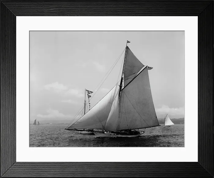 Framed Print : Chispa, 1892 June 14. Creator: Johns Johnston Framed Print : Chispa, 1892 June 14. Creator: Johns Johnston