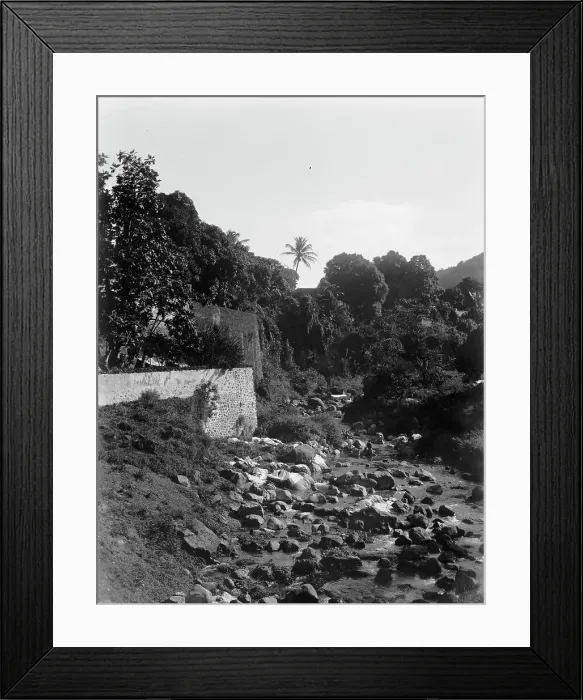 Framed Print : On the road to the Botanical Gardens, Martinique, W.I. between 1880 and 1901. Creator: Unknown Framed Print : On the road to the Botanical Gardens, Martinique, W.I. between 1880 and 1901. Creator: Unknown