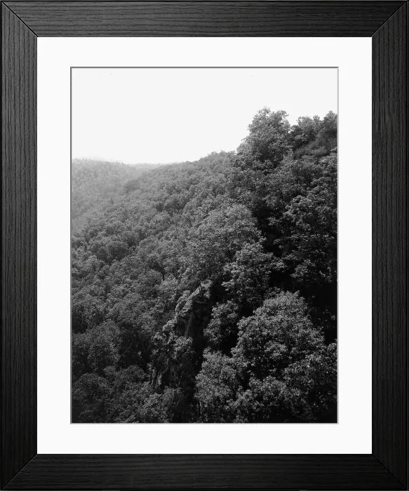 Framed Print : Mountainside with trees, between 1900 and 1920. Creator: Unknown Framed Print : Mountainside with trees, between 1900 and 1920. Creator: Unknown