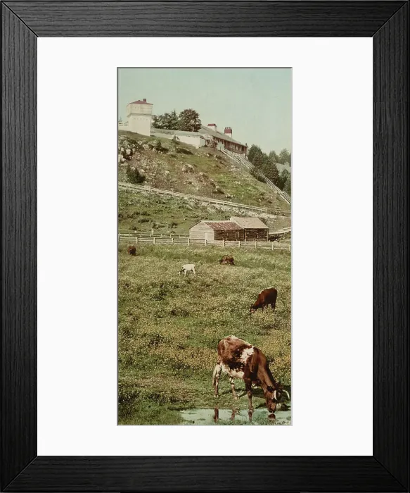 Framed Print : Old Fort Mackinac from the pasture, ca 1900. Creator: Unknown Framed Print : Old Fort Mackinac from the pasture, ca 1900. Creator: Unknown