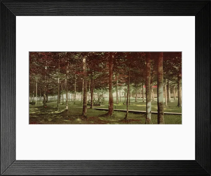 Framed Print : The Grove at Bay View, Michigan, c1901. Creator: Unknown Framed Print : The Grove at Bay View, Michigan, c1901. Creator: Unknown